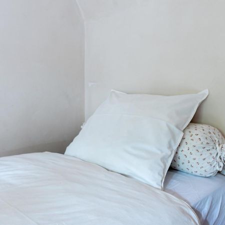 Bed End Breakfast Du Centre Bed and Breakfast Bourg-Saint-Maurice Εξωτερικό φωτογραφία